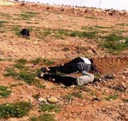 Нов случaj на убиство на христијани во Либија